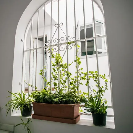 San Francisco Sevilla